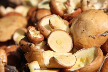 Натуральный фон - маленькие маслята