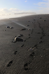 Way to heaven on black sand beach