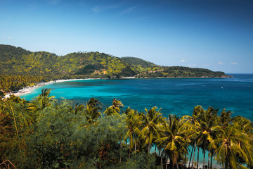 A view of the bay and coast with tropical trees from the hill