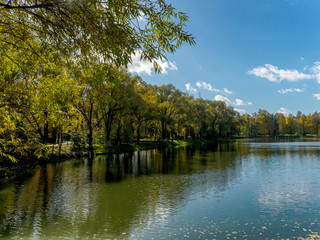 Fototapeta na wymiar Protected lakes with trees in the city in the fall