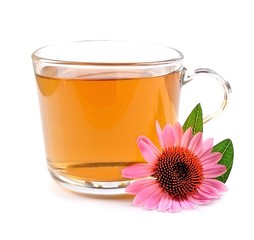 Cup of echinacea tea isolated