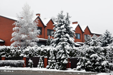 Naklejka premium Snowy spruces and bushes on the background of a red brick cottage in winter.