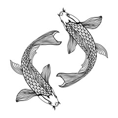 beautiful koi carp fish illustration in monochrome. Symbol of love, friendship and prosperity