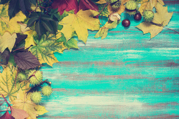 Frame made of autumn leaves. Toned