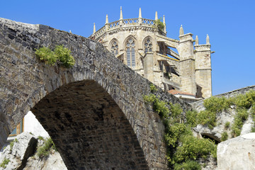 Obraz premium Cattedrale gotica e ponte medioevale