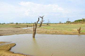 landscape by safari in Sri Lanka