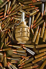 ammunition