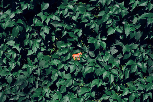 peque&ntilde;o caballo naranja de juguete en unos setos verdes.