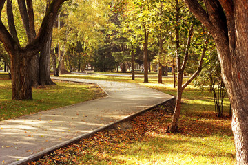 Walkway in autumn Park