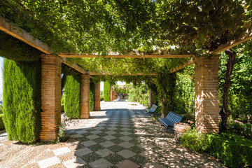 Sunny view of garden of Generalife, Granada, Andalusia province, Spain.