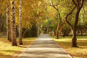 Autumn Park