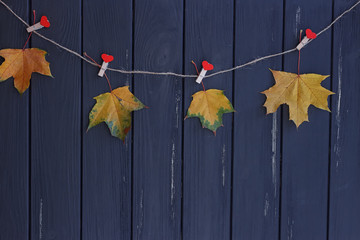 autumn maple leaves on a clothes line