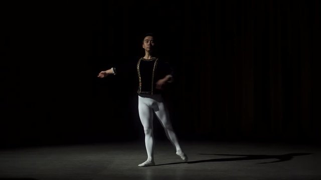 Young Man Dancing Ballet