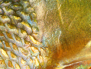 Close up of fish skin with scales. Natural background from Northern Pike (Esox Lucius).