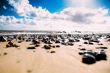 Stones on a Beach