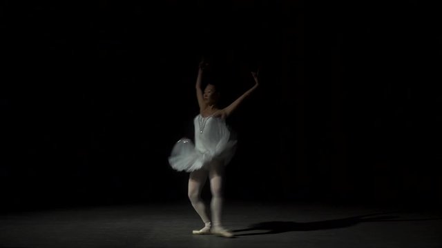 Classic Ballet Female Dancer