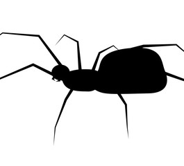 halloween spider vector symbol icon design.