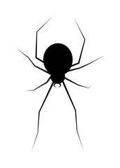 halloween spider vector symbol icon design.