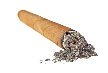 Brown cigar burned on white background
