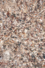 stones on beach and sea water