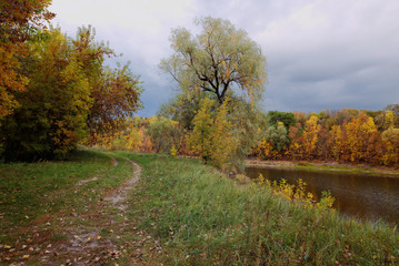 Fototapeta premium Beautiful afternoon in the autumnal park