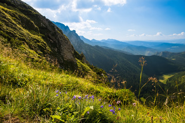 Fototapeta premium Tatra Mountains national park in Zakopane