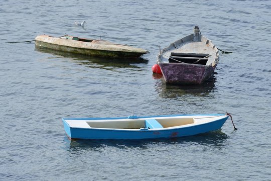 Fototapeta fishing boat on a mooring