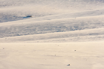 beautiful view of the coastal dunes