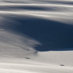 Fototapeta na wymiar beautiful view of the coastal dunes