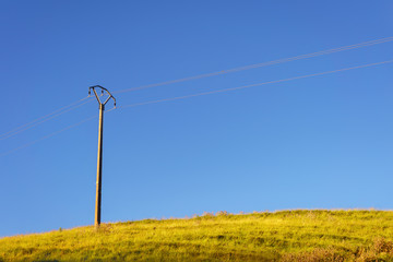 utility poles