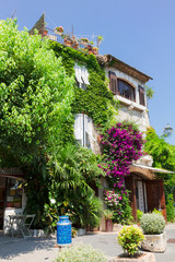 beautiful old town street with leaves and flowers of Provence at summer sunny day, France