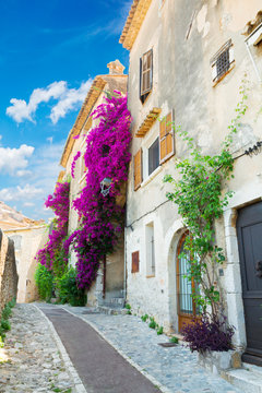 Fototapeta beautiful old town narrow street with leaves and flowers of Provence at summer day, France, retro toned