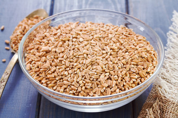 raw spelt on blue wooden background