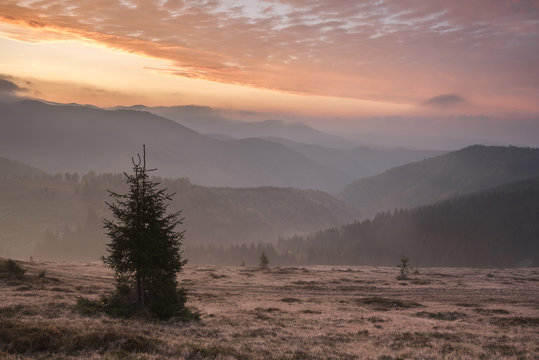 Misty forest and Carpathian Mountains landscape at sunrise, Ranca, Parang Mountains, Oltenia Region, Romania