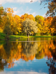 Colorful park trees and lake in the autumn season in Tsarskoe Selo (Pushkin).