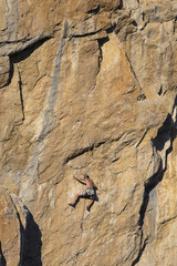 Cliffhanger.