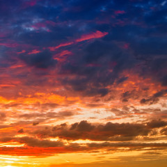 Fototapeta premium sky (239)