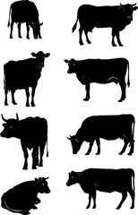 cow, vector, silhouette, animals, design