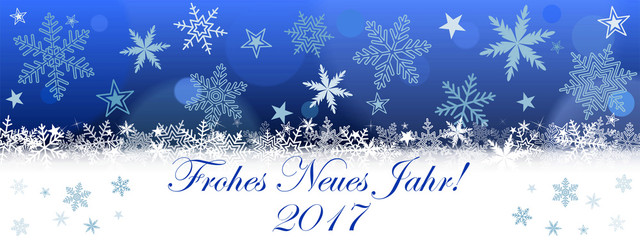 Frohes Neues Jahr! 2017