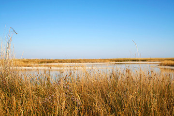 Fototapeta premium The landscape of the sea coast