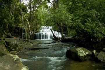 Obraz premium Deep forest waterfall at pang sida waterfall National Park sa kaeo Thailand