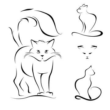 cat abstract lines on a white background vector