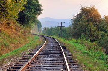 Fototapeta na wymiar Railway track in a beautiful autumn forest fog. dampness, bright warm autumn colors
