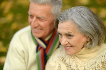 Senior couple in autumn park