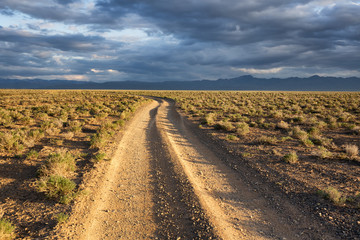 Naklejka premium Turn of rural road at sunset in the desert of Kazakhstan