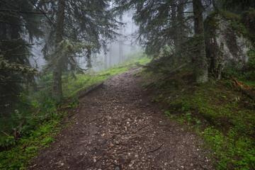 Panorama of Romanian Carpathians