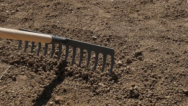 Slow motion using of weed raker for grading soil garden outdoor activities 1920X1080 HD footage - Wooden handle metal rake spreading and levelling ground slow-mo 1080p FullHD video 