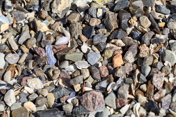Pebbles at the beach