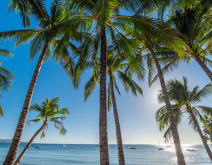 Naklejka na ściany i meble Tropical beach background from Boracay island with coconut palms