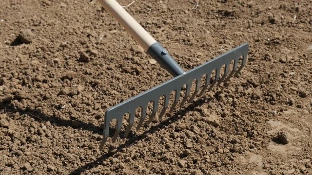 Wooden handle metal rake spreading and leveling ground slow-mo 1920X1080 HD footage - Slow motion using of weed raker for grading soil garden outdoor activities 1080p FullHD video 